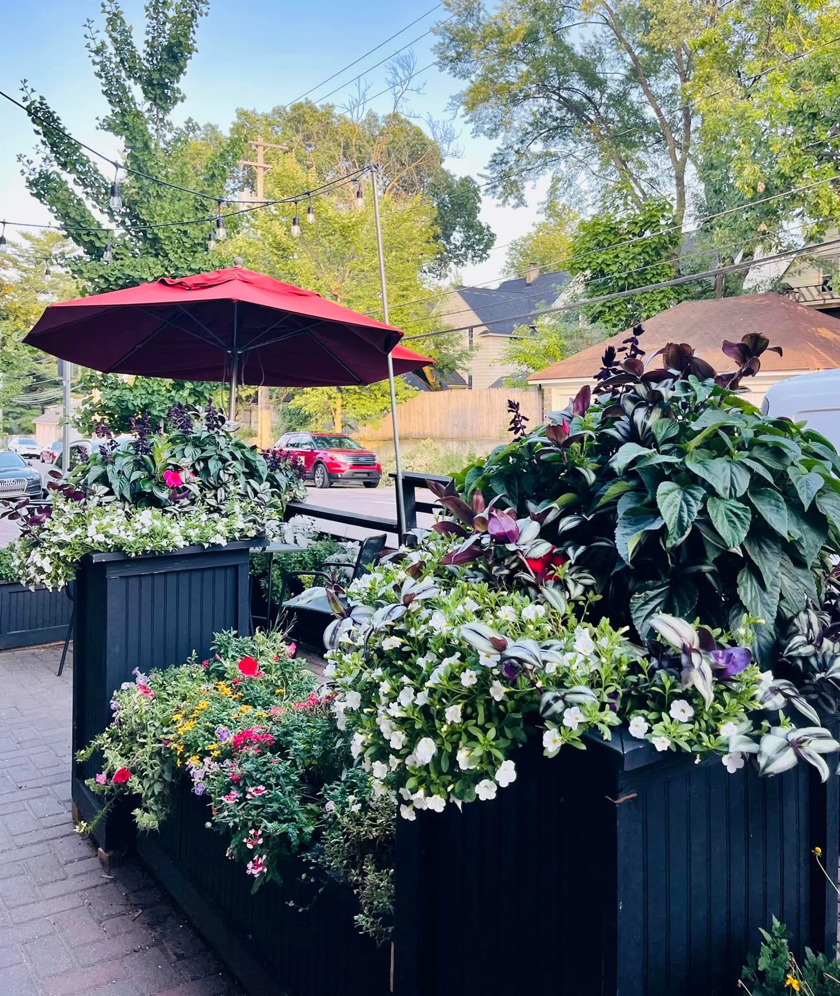 Residential house with manicured landscaping